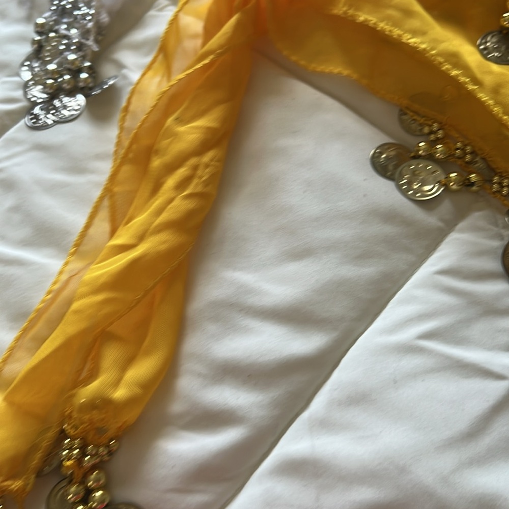 Colorful set of 4 Belly Dance Hip Scarves with Coins - Picture 10 of 14